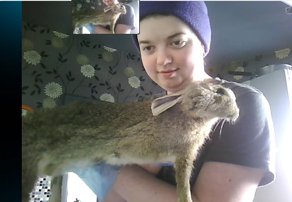 Skinned rabbit by Monopolymurder on DeviantArt