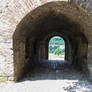 Img 3973 (1)