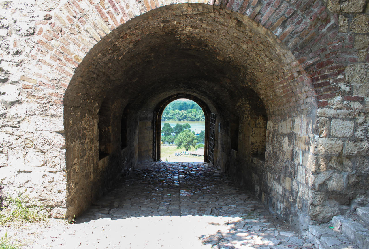 Img 3973 (1)