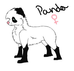 Panda OC