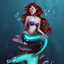 Arielle the little mermaid