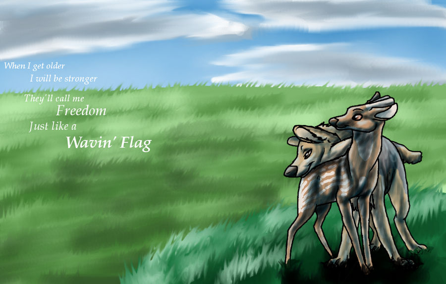 Wavin' Flag by SanjanaIndica on DeviantArt