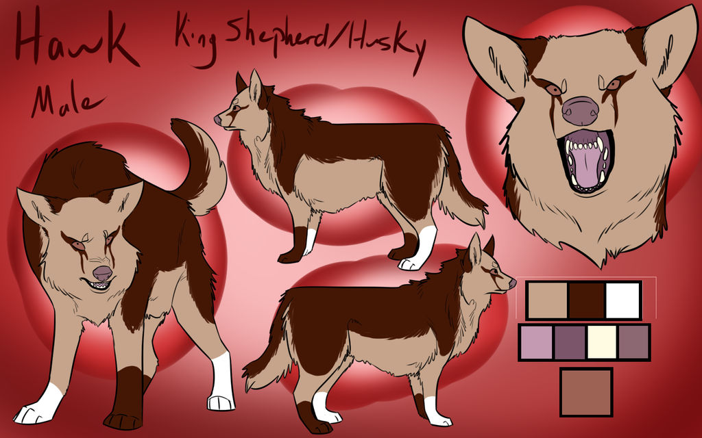 Hawk Ref Base Hawk Reference Commission by SanjanaIndica on DeviantArt