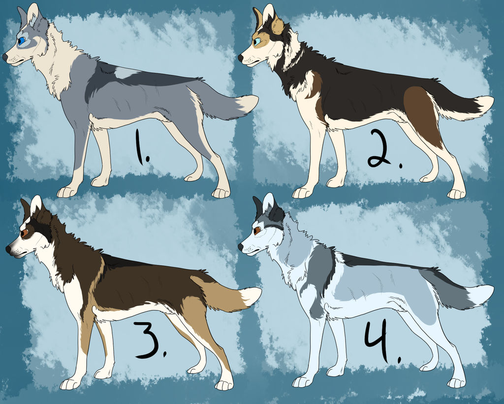 Husky Adoptables