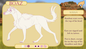 {DotW App} Boaz