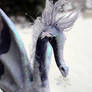 Lilac Frost Pixie Dragon