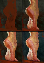 Foot Study Process