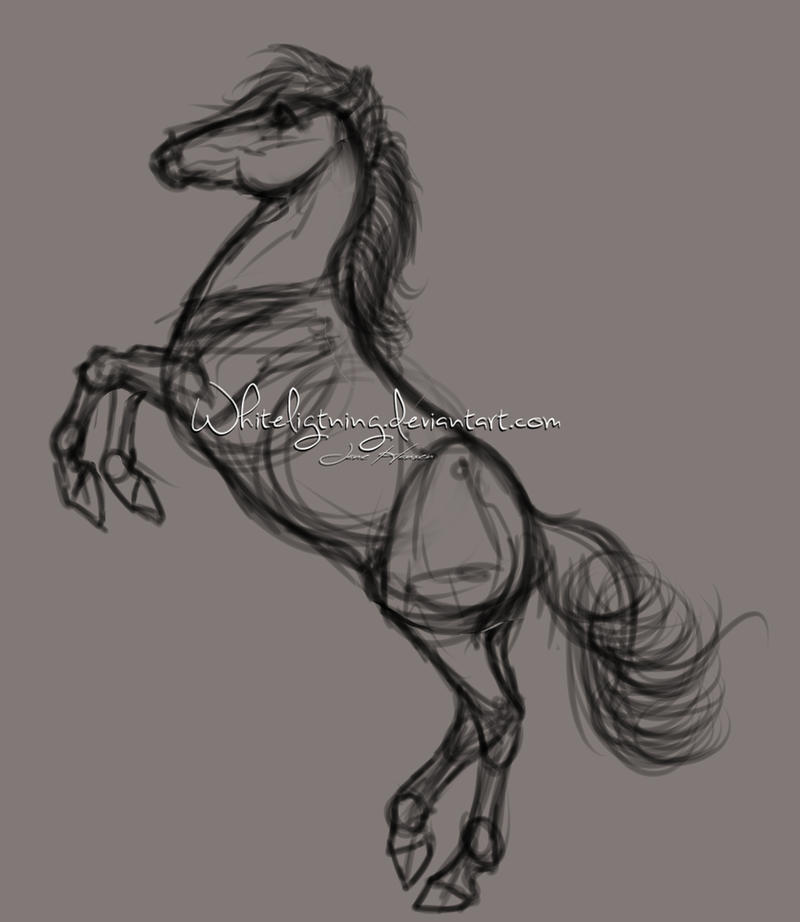 Reared Drawing Rearing sketch by Whiteligtning on DeviantArt
