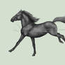 Horse Greyscale