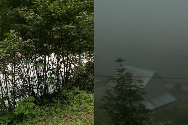 fog by starlet123 on DeviantArt