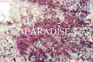 Paradise - Coldplay