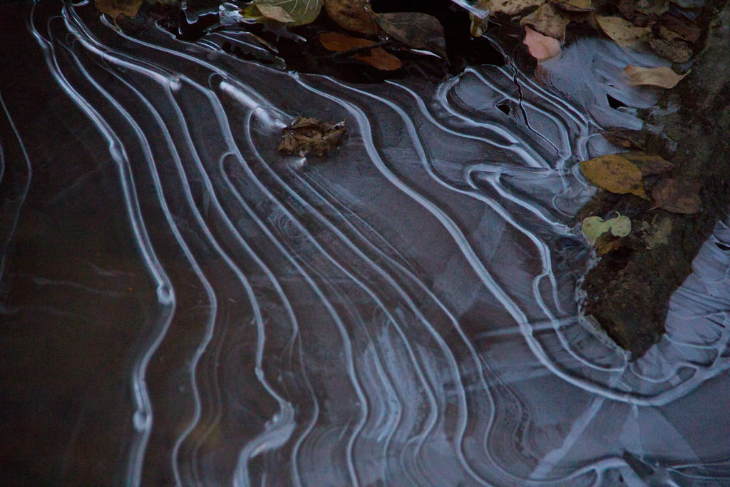 Ripples