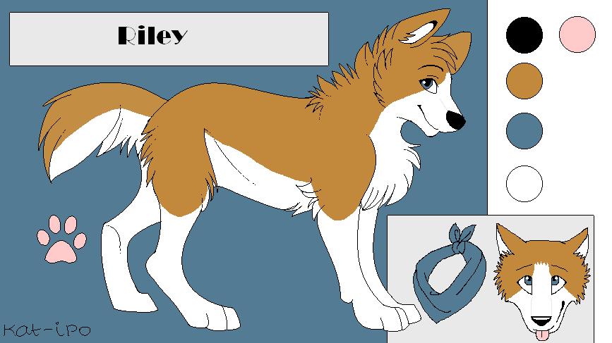 Riley new ref