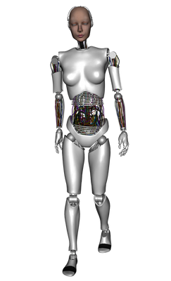 Shebot 6