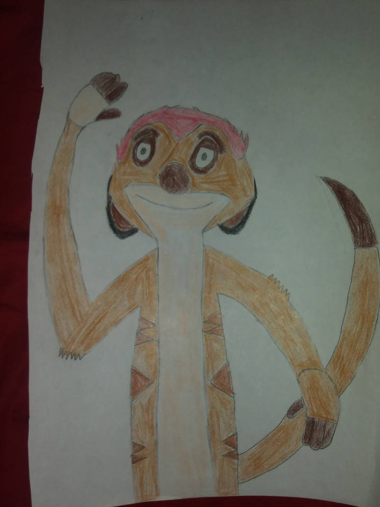 Timon by Warriormightly on DeviantArt
