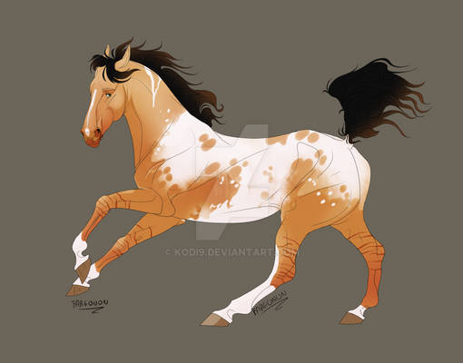 CanyonHorse