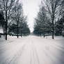 The Long Silence of Winter
