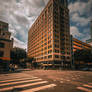 Standing Tall in the City