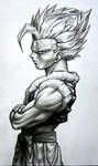 gogeta by TicoDrawing