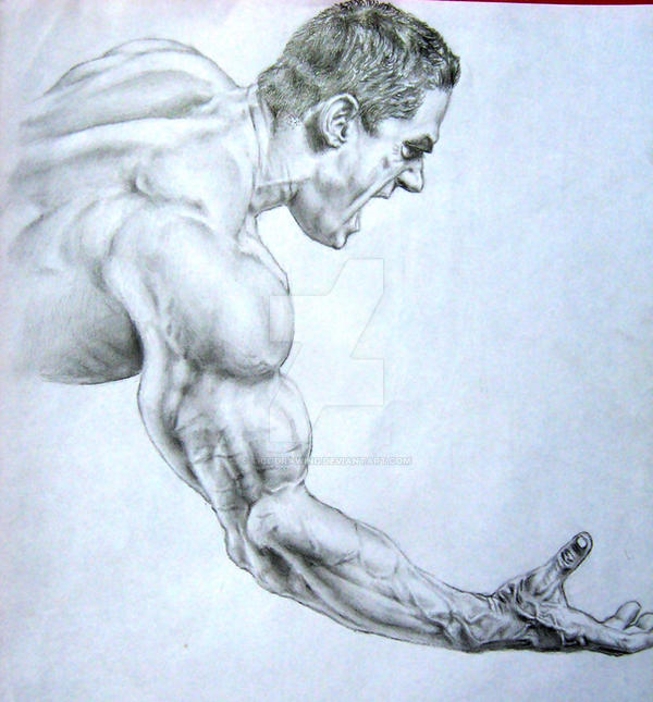 Dynamic Muscle Pencil Power muscle by TicoDrawing on DeviantArt
