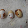 Guinea pig beads!