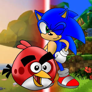 Sonic x Angry Brids Es Dibujo 