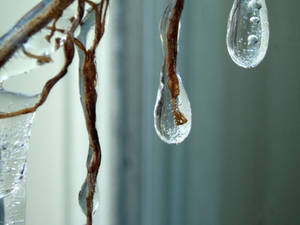 Frozen Droplets