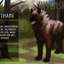 Ulvenshul: Thane