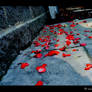 As They Lie Dieing. -Revised-