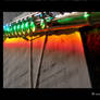 Rainbow Flute.