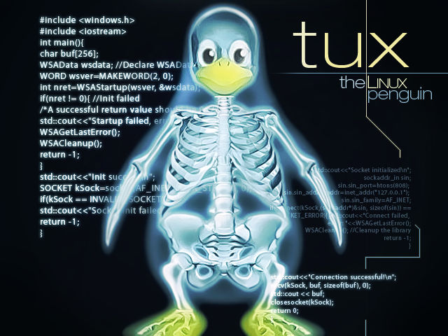 Tux the Linux Penguin by Jsung on DeviantArt
