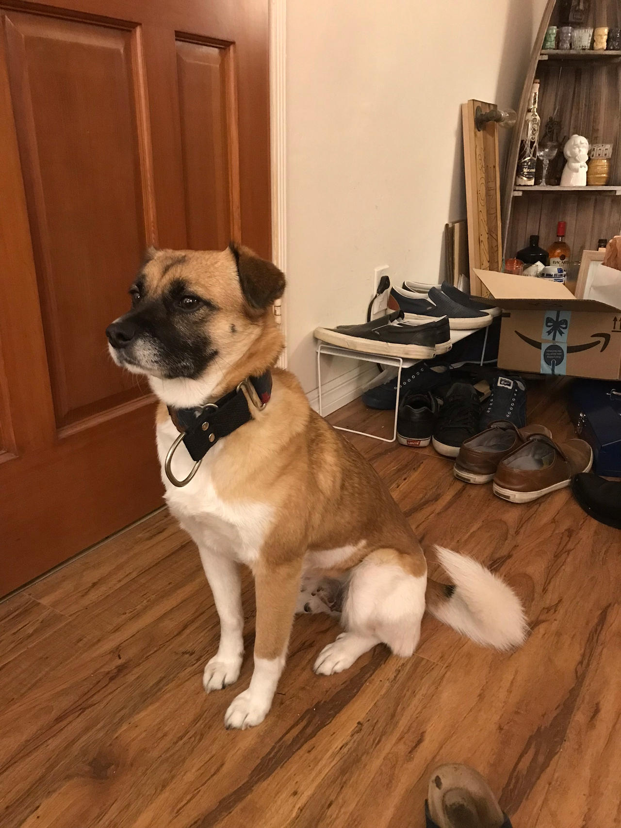 Nancy 11 (photographed 11/30/2018)