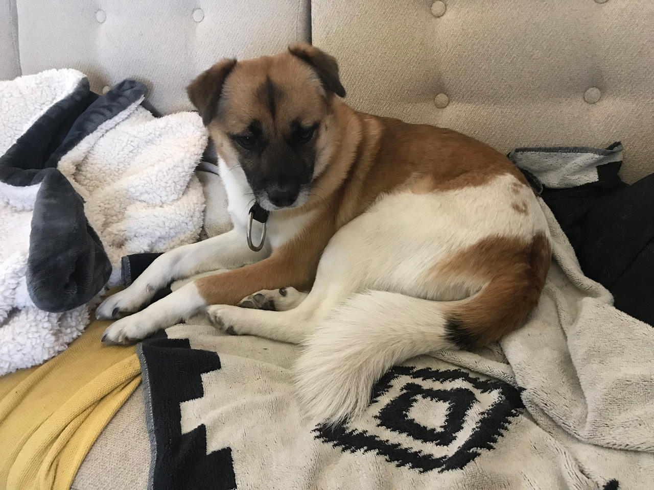 Nancy 14 (photographed 2/23/2019)