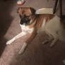Nancy 24 (photographed 1/18/2020)