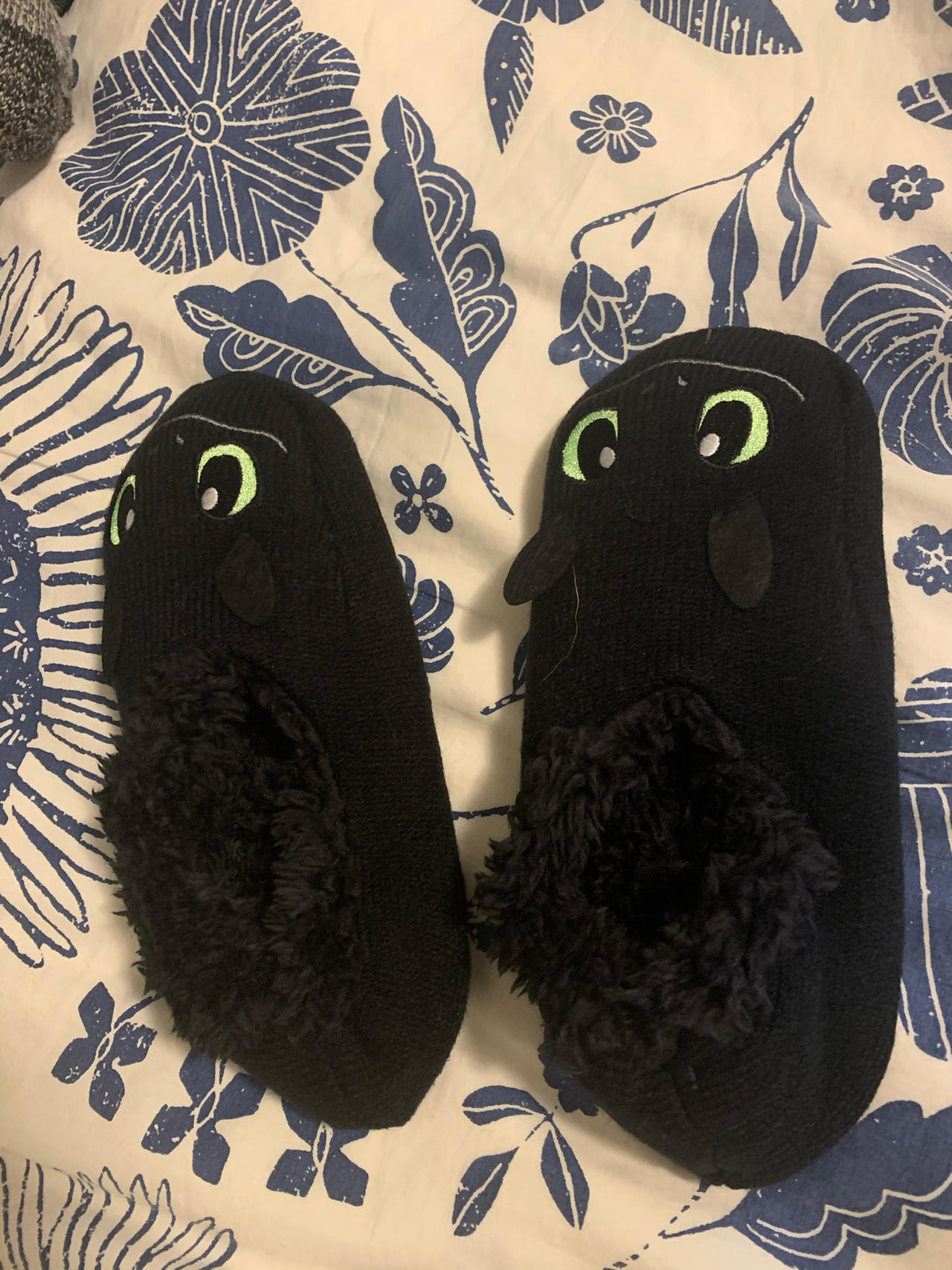 Toothless Socks or Slippers?