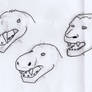 Gorgonopsid Animorphs