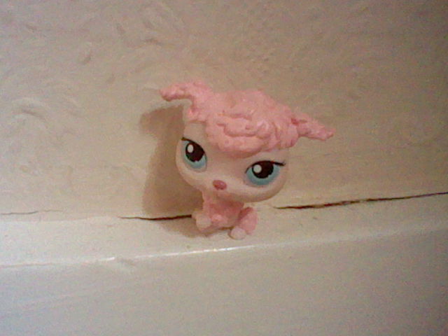 LPS Old pink pampered poodle