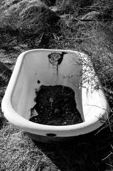 Desert Bathtub