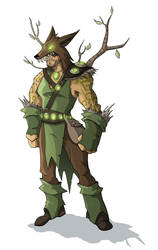 Druid