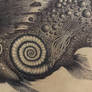 Strange fish detail (ammonite)