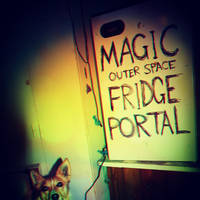 Magic Outer Space Fridge Portal.