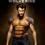 WOLVERINE ORIGINS 3