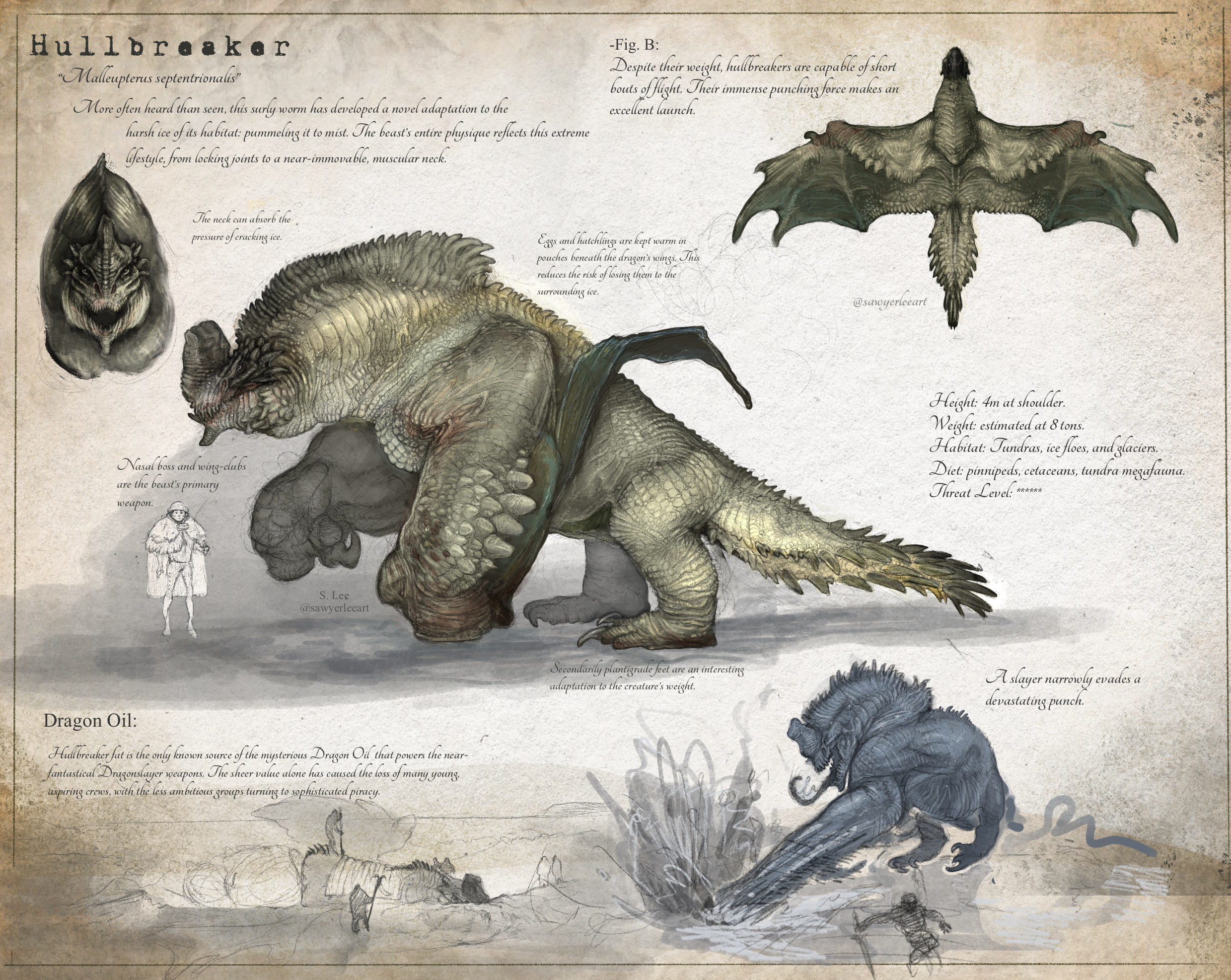 Hullbreaker dragon species (Dragonslayer Codex) by SawyerLeeArt on  DeviantArt