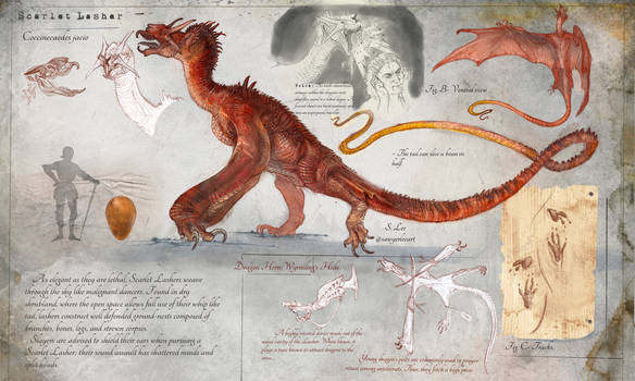 Scarlet Lasher species (Dragonslayer Codex)