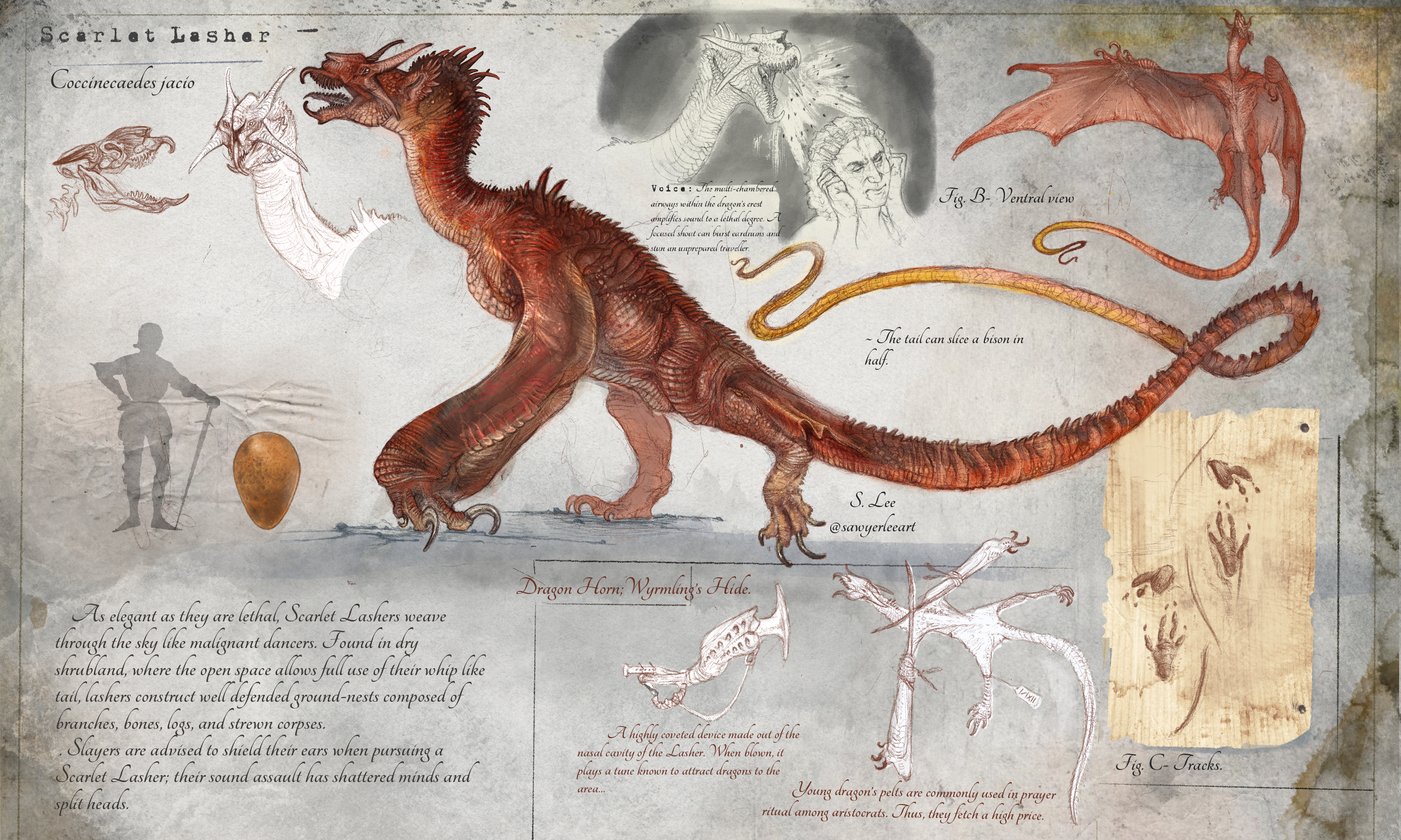 Armorhead Subspecies (Dragonslayer Codex) by SawyerLeeArt on DeviantArt