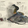Armorshear species (Dragonslayer Codex)
