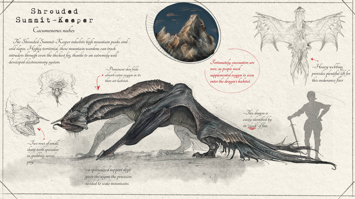 Slayer Codex Shrouded Summit-Keeper species (Dragonslayer Codex by SawyerLeeArt on ...