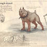 Kinghound (Dragonslayer Codex)