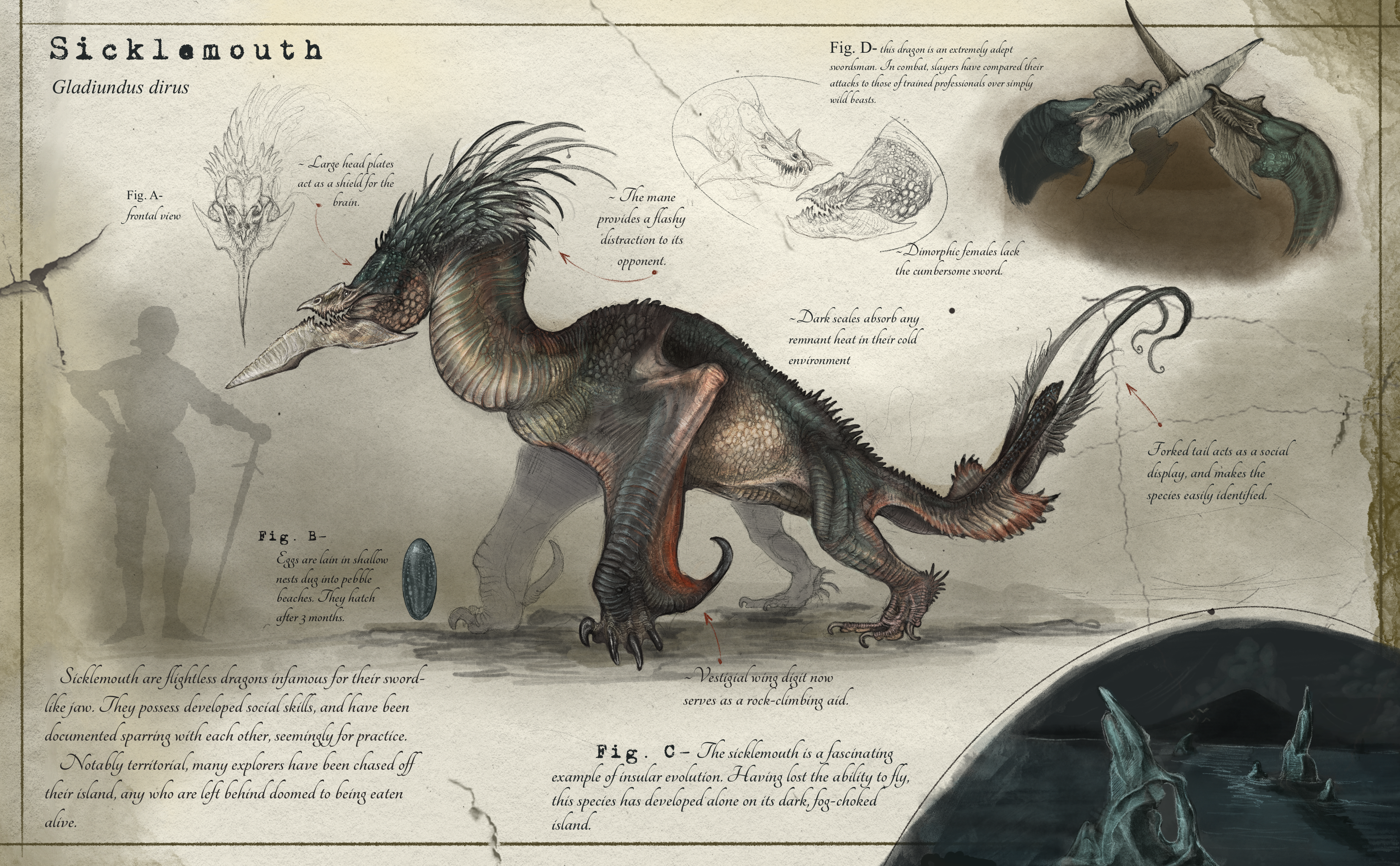 Holdtaker Whelp Info (Dragonslayer Codex) by SawyerLeeArt on DeviantArt