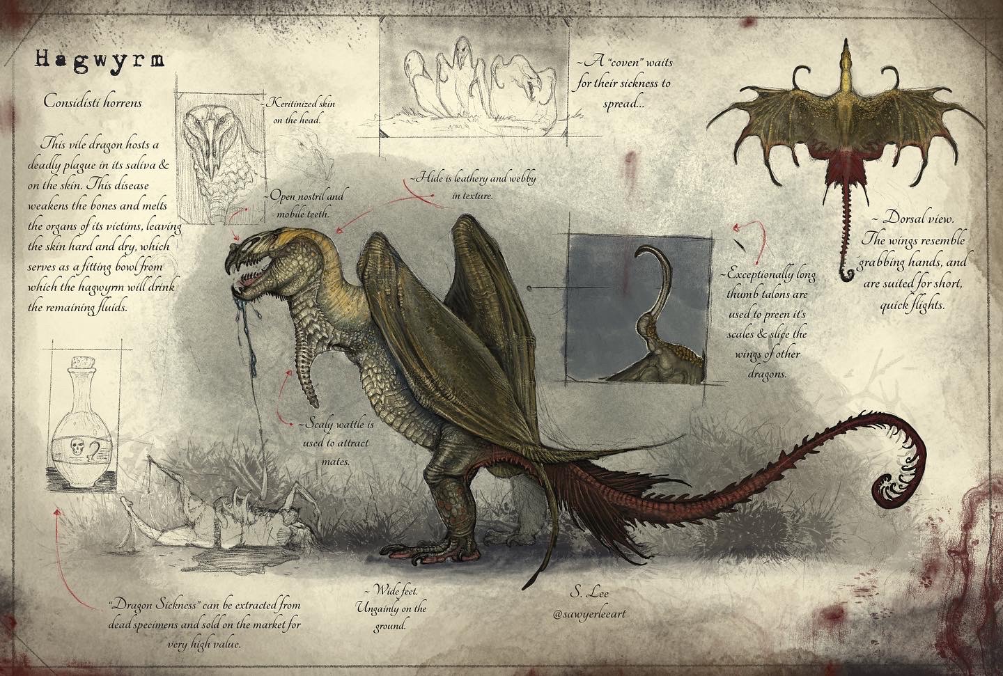 Hagwyrm species (Dragonslayer Codex) by SawyerLeeArt on DeviantArt